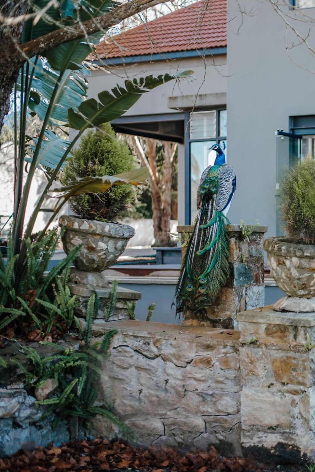The Hawthorn Boutique Hotel George Exterior foto